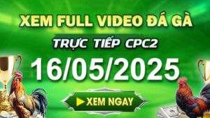 Xem Lại Video Đá Gà CPC2 Ngày 16-05-2025 cùng GACAM67