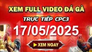 Xem Lại Video Đá Gà CPC3 Ngày 17-05-2025 cùng GACAM67