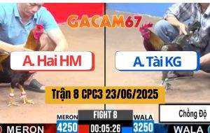 Trận 8 Bồ CPC3 23/06/2025 - Hai Hóc Môn Và Tài Kiên Giang, Xổ 200 Triệu