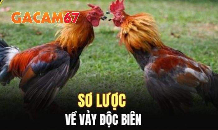 Giới thiệu về vảy Độc Biên