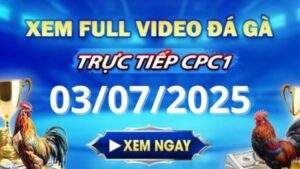 Xem lại video đá gà CPC1 ngày 03_07_2025 tại Gacam67