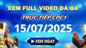 Xem lại video đá gà CPC1 ngày 15_07_2025 tại Gacam67