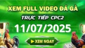 Xem lại video đá gà CPC2 ngày 11_07_2025 tại Gacam67