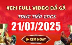 Xem Lại Video Đá Gà CPC3 Trực Tiếp Ngày 21/07/2025