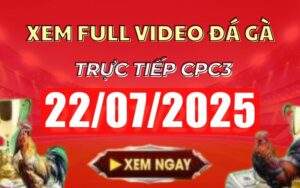 Xem Lại Video Đá Gà CPC3 Trực Tiếp Ngày 22/07/2025