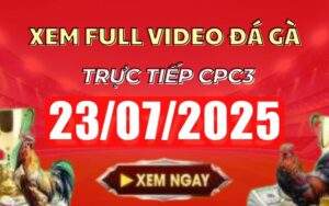 Xem Lại Video Đá Gà CPC3 Trực Tiếp Ngày 23/07/2025