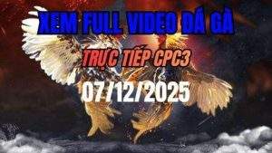 Xem Lai Video Da Ga CPC3 Truc Tiep Ngay 07122025 1