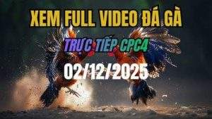 Xem Lai Video Da Ga CPC4 Truc Tiep Ngay 02122025 1