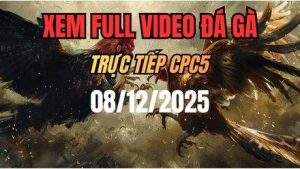 Xem Lai Video Da Ga CPC5 Truc Tiep Ngay 08122025 1