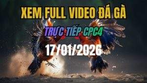 Xem Lại Video Đá Gà CPC4 Trực Tiếp Ngày 17/01/2026
