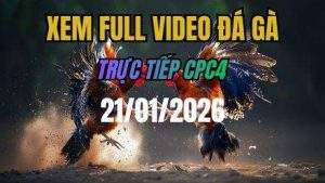 Xem Lai Video Da Ga CPC4 Truc Tiep Ngay 21012026