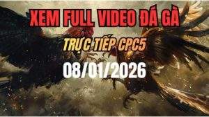 Xem Lại Video Đá Gà CPC5 Trực Tiếp Ngày 08/01/2026