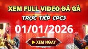 Xem Lại Video Đá Gà CPC3 Trực Tiếp Ngày 01/01/2026