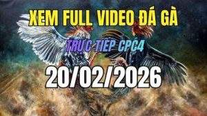 xem lai video da ga cpc4 truc tiep ngay 20 01 2026 1