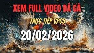 xem lai video da ga cpc5 truc tiep ngay 20 01 2026 1