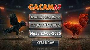 Xem Lại Video Đá Gà CPC2 Ngày 25/03/2026