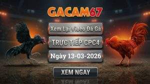 Xem Lại Video Đá Gà CPC4 Ngày 13/03/2026