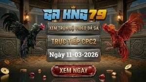 Xem Lại Video Đá Gà CPC2 Ngày 13/03/2026