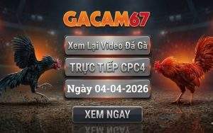 Xem Lại Video Đá Gà CPC4 Ngày 04/04/2026